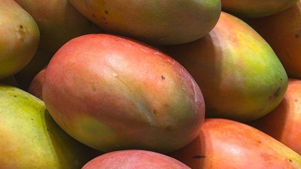 Cultura la farfurie. Cum devine banal ceea ce ieri ni se părea de exotic