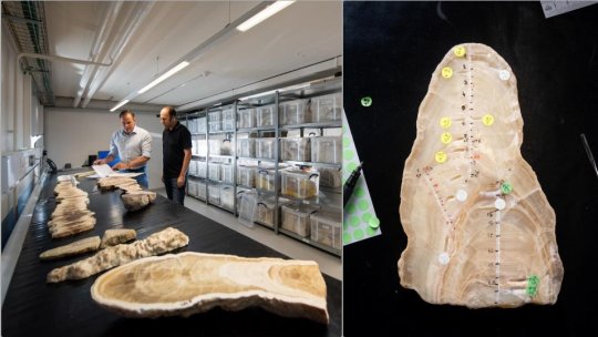 Dominik Fleitmann: Pentru natura umană , marea întrebare este cum răspundem la o criză. Și nu ne-am schimbat prea mult....