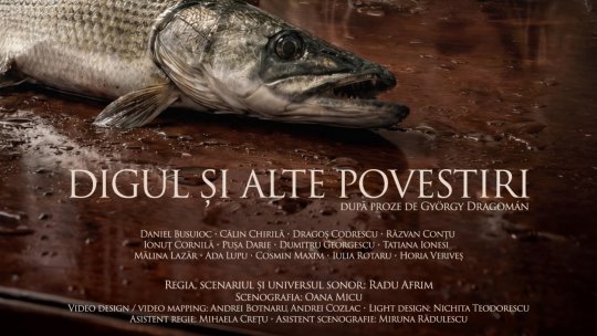 Regizorul Radu Afrim pregătește publicarea primelor sale cărți