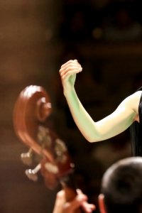Simona Strungaru - „Este deosebit de important ca toată lumea să fie conștientă de demersurile artistice și culturale de cel mai înalt nivel”