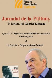"Jurnalul de la Păltiniș", în lectura lui Gabriel Liiceanu - Episodul 5 & Episodul 6