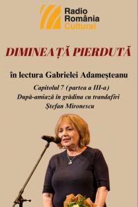 „Dimineață pierdută”, în lectura Gabrielei Adameșteanu – Capitolul 7 (partea a III-a)  – După-amiază în grădina cu trandafiri – Ștefan Mironescu