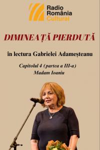 „Dimineață pierdută”, în lectura Gabrielei Adameșteanu – Capitolul 4 (partea a III-a) – Madam Ioaniu