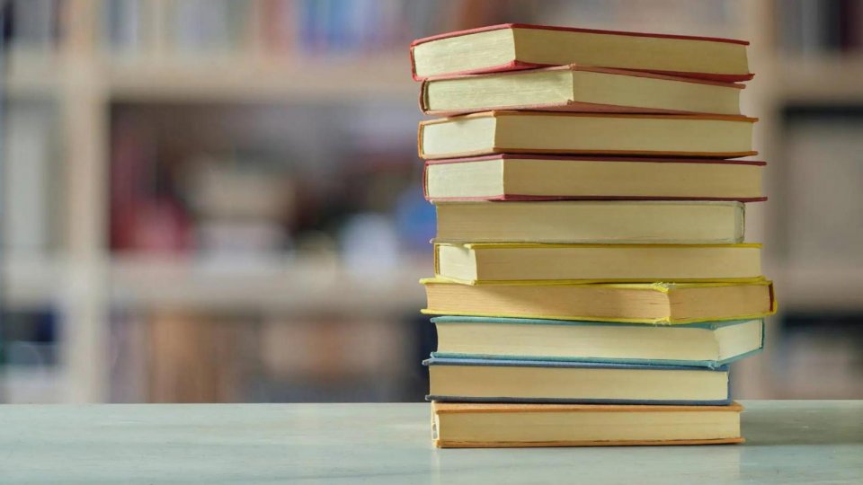 Mihai Mitrică, director executiv al Asociației Editorilor din România „În următoarele 12 luni vom vorbi despre edituri mici care nu au mai rezistat pe piață și despre librării care s-au închis.”