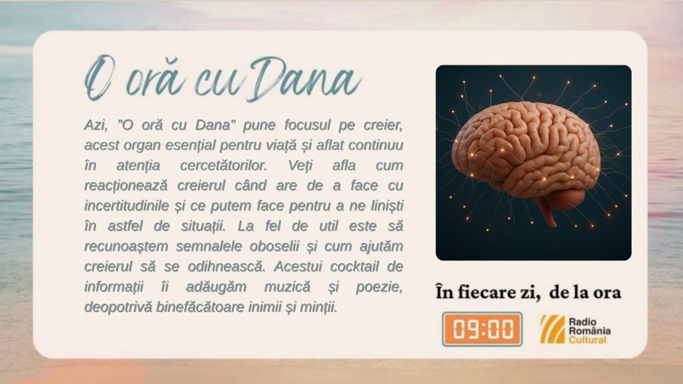 O oră cu Dana - Focus pe creier | PODCAST