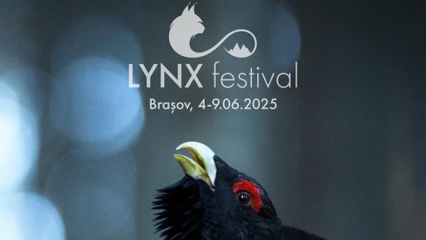 Celebrul director de imagine Gavin Thurston, laureat Emmy și BAFTA, este invitat special al LYNX Festival