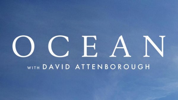 Ocean, narat de David Attenborough, proiecție în premieră la Brașov în cadrul LYNX Festival
