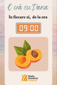 O oră cu Dana - Stare de bine în farfurie | PODCAST