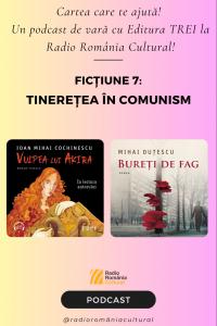 Tinerețea în comunism | PODCAST