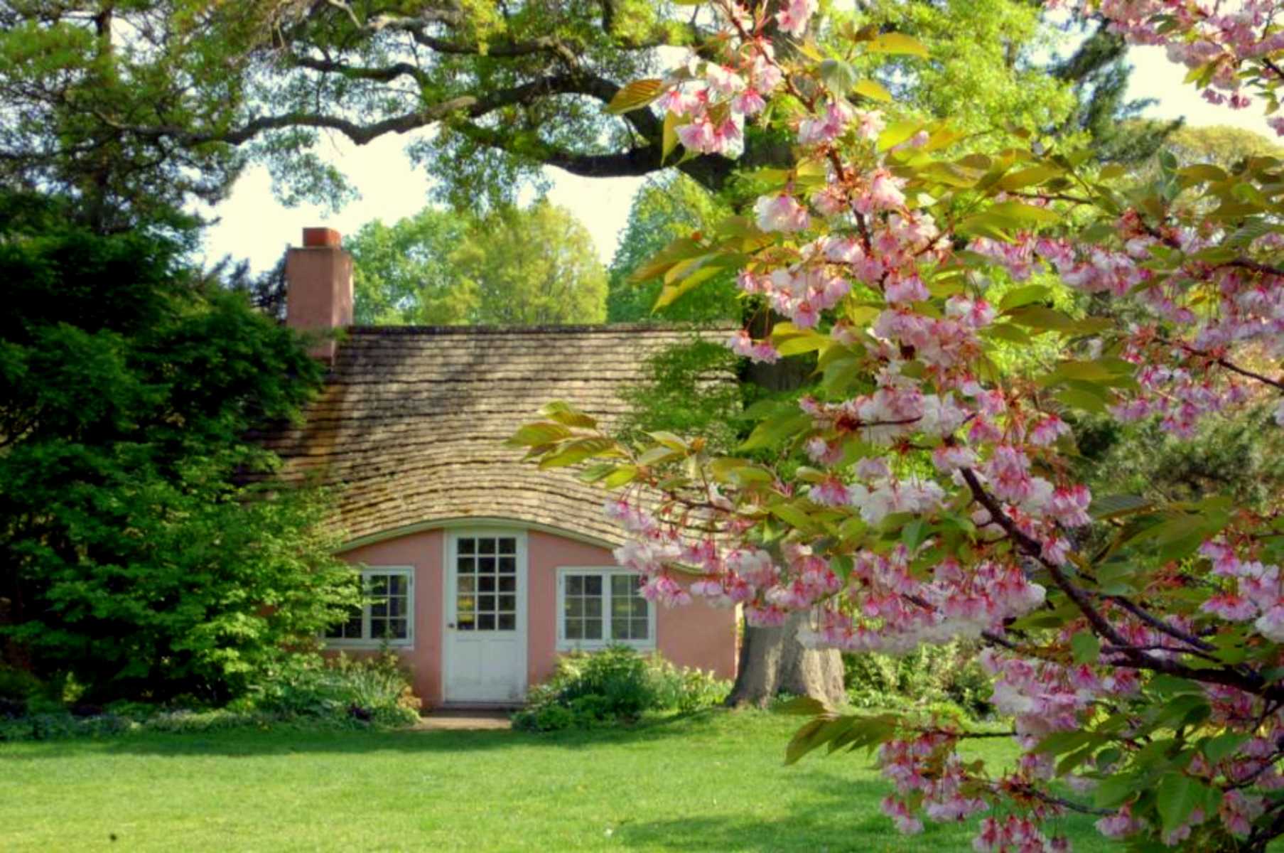 Beautiful cherry cottage wallpaper