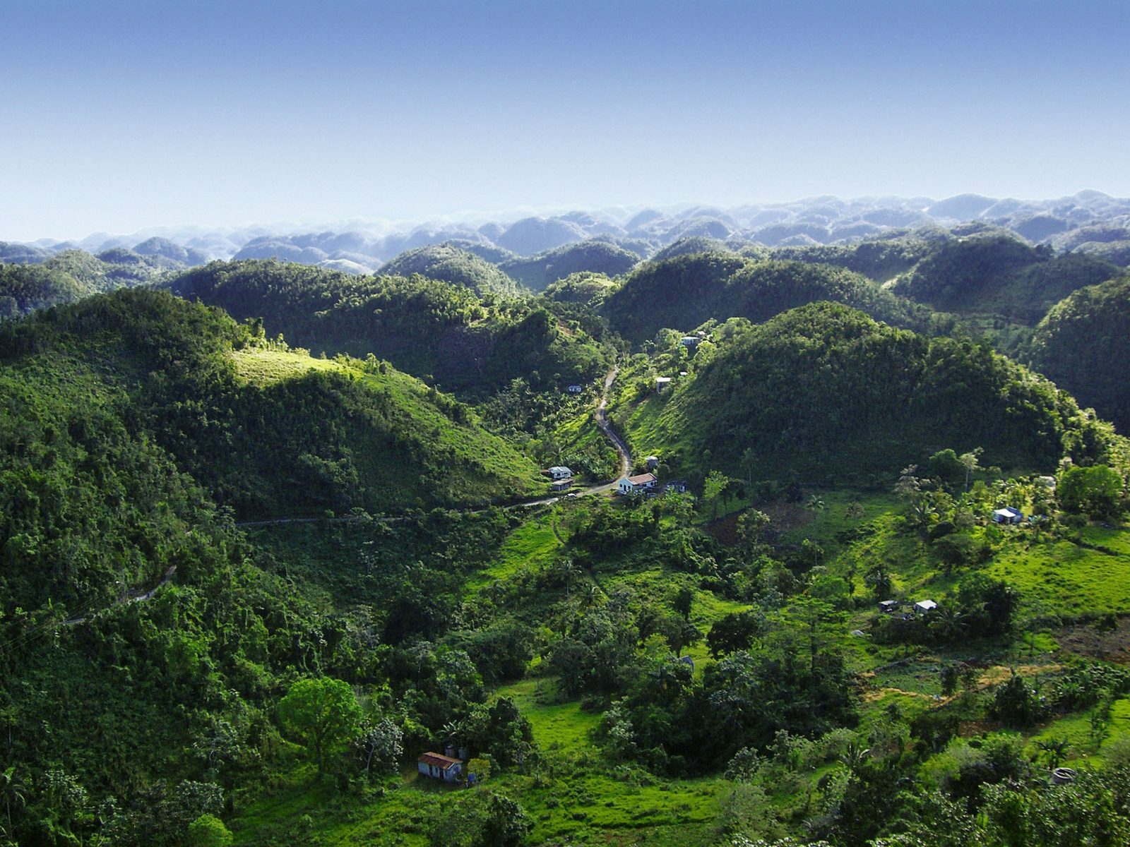 JAMAICA 1- 3 - Muntii Albastri