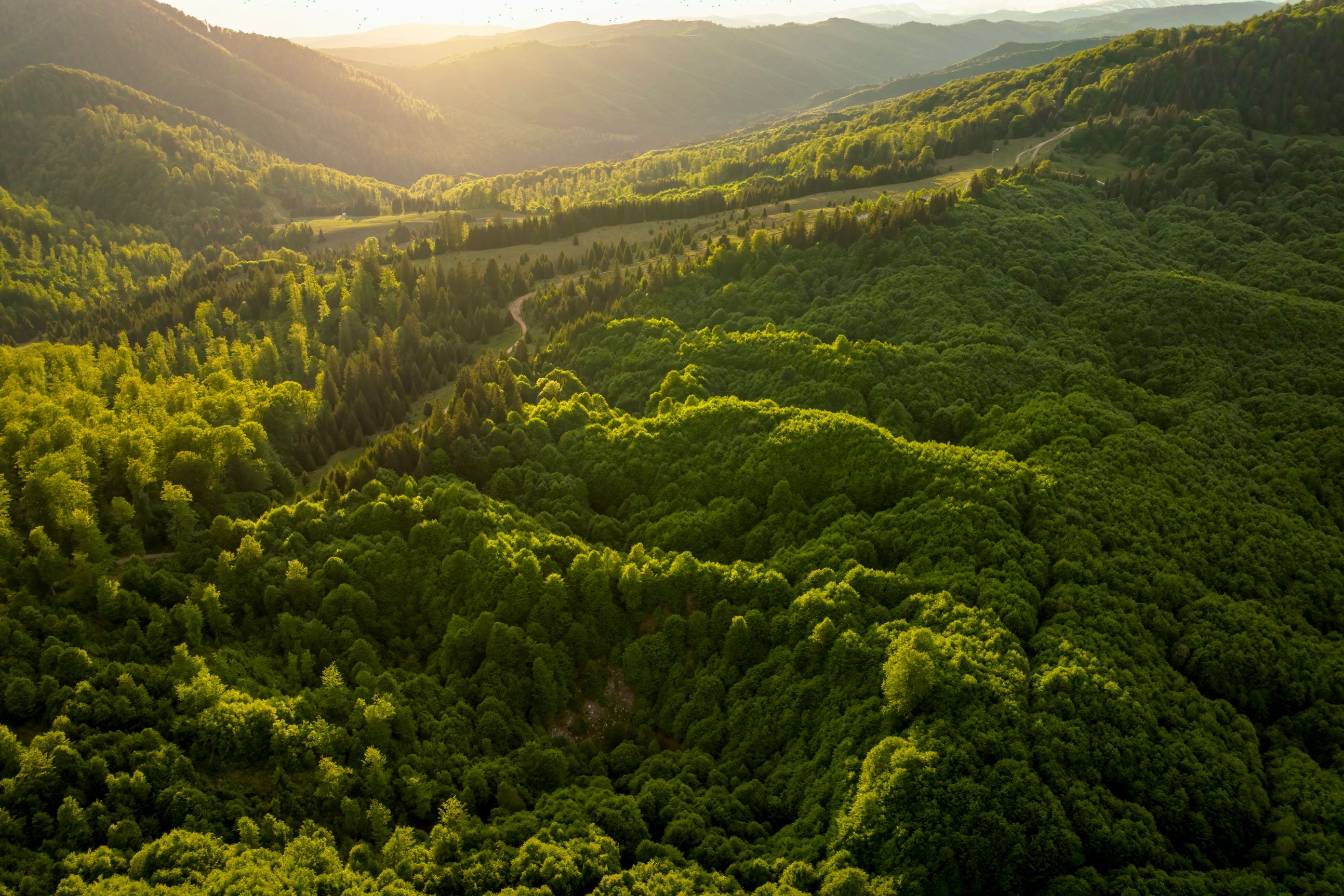 Peisaj Nucsoara_Foto Daniel Mîrlea_arboricupovesti.ro