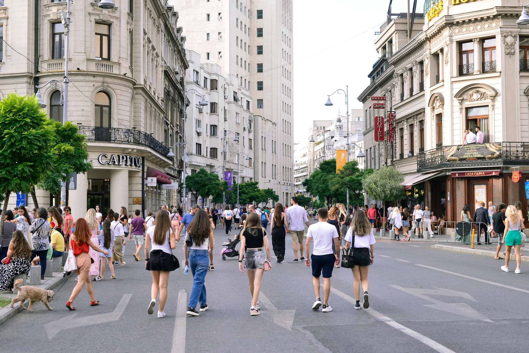 Strazi deschise - Bucuresti, Promenada urbana_ARCUB