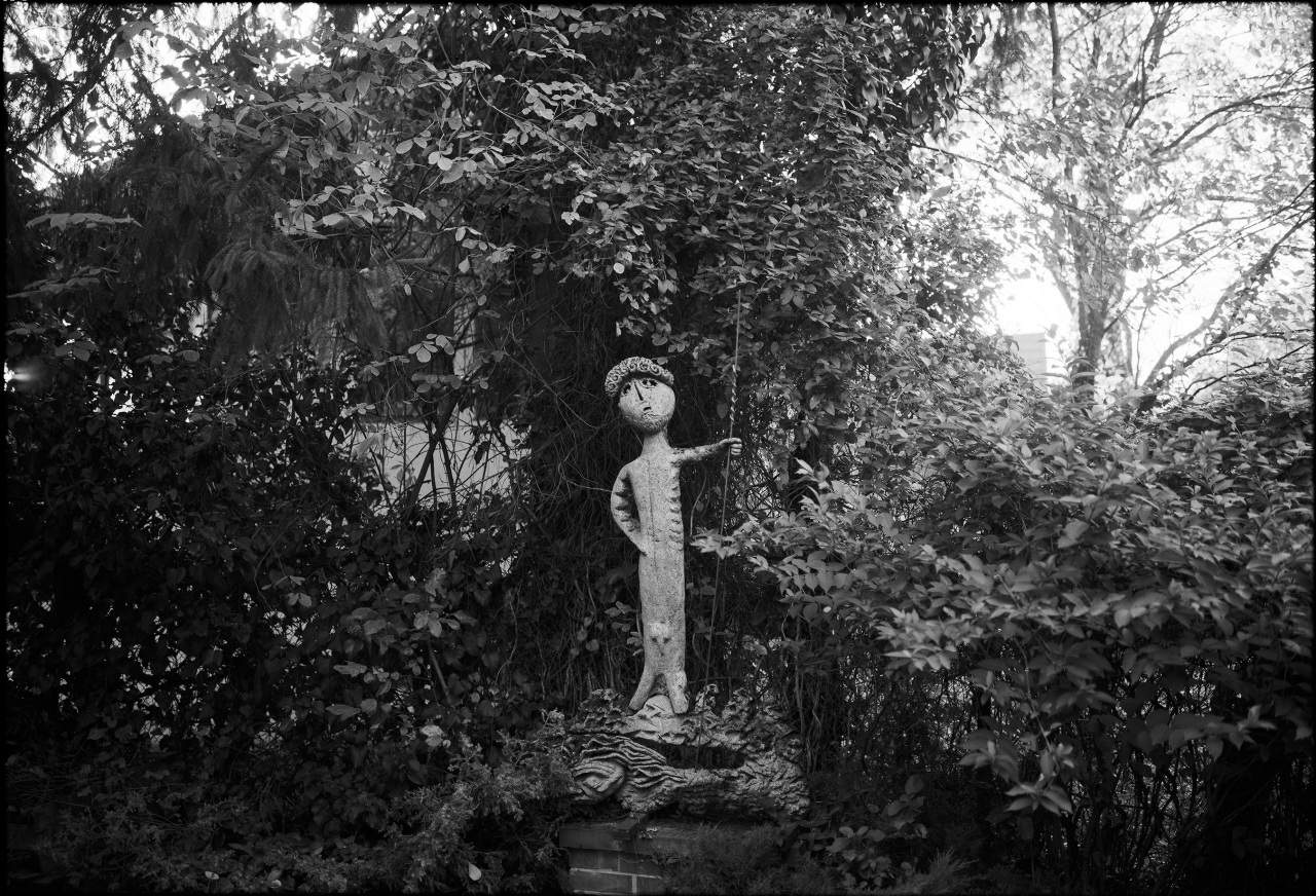 Nicu Ilfoveanu - David si Goliat foto BW