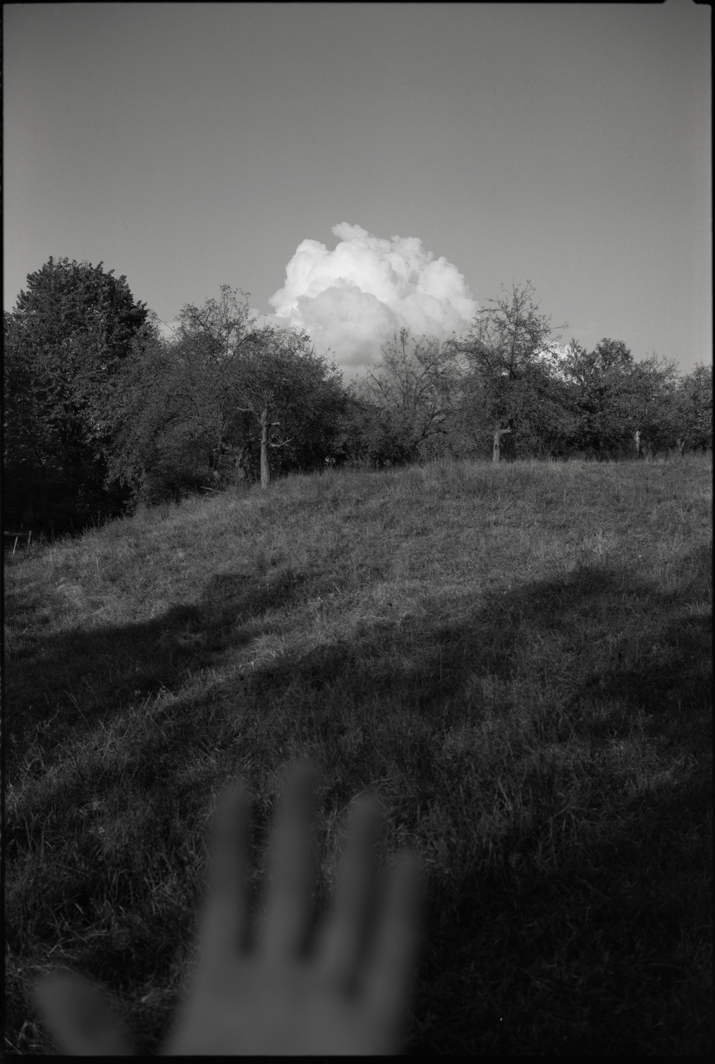 Nicu Ilfoveanu - Untitled foto BW
