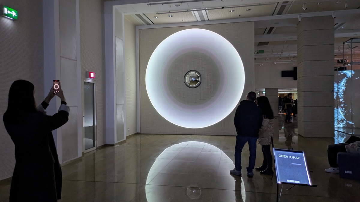 SURSA @László Zsolt Bordos