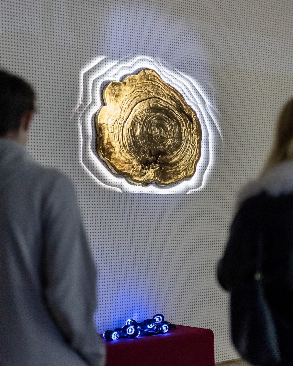 SURSA - LIMES by Moulab @Rareș Toma