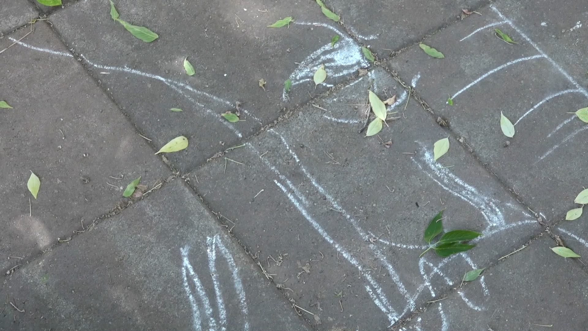 Elephant Far Away_Teona Galgotiu_BIEFF