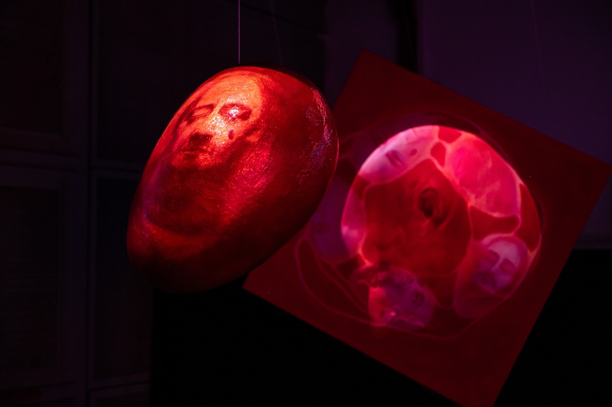 Grădina Deliciilor Sintetice - The Gaze of no Return