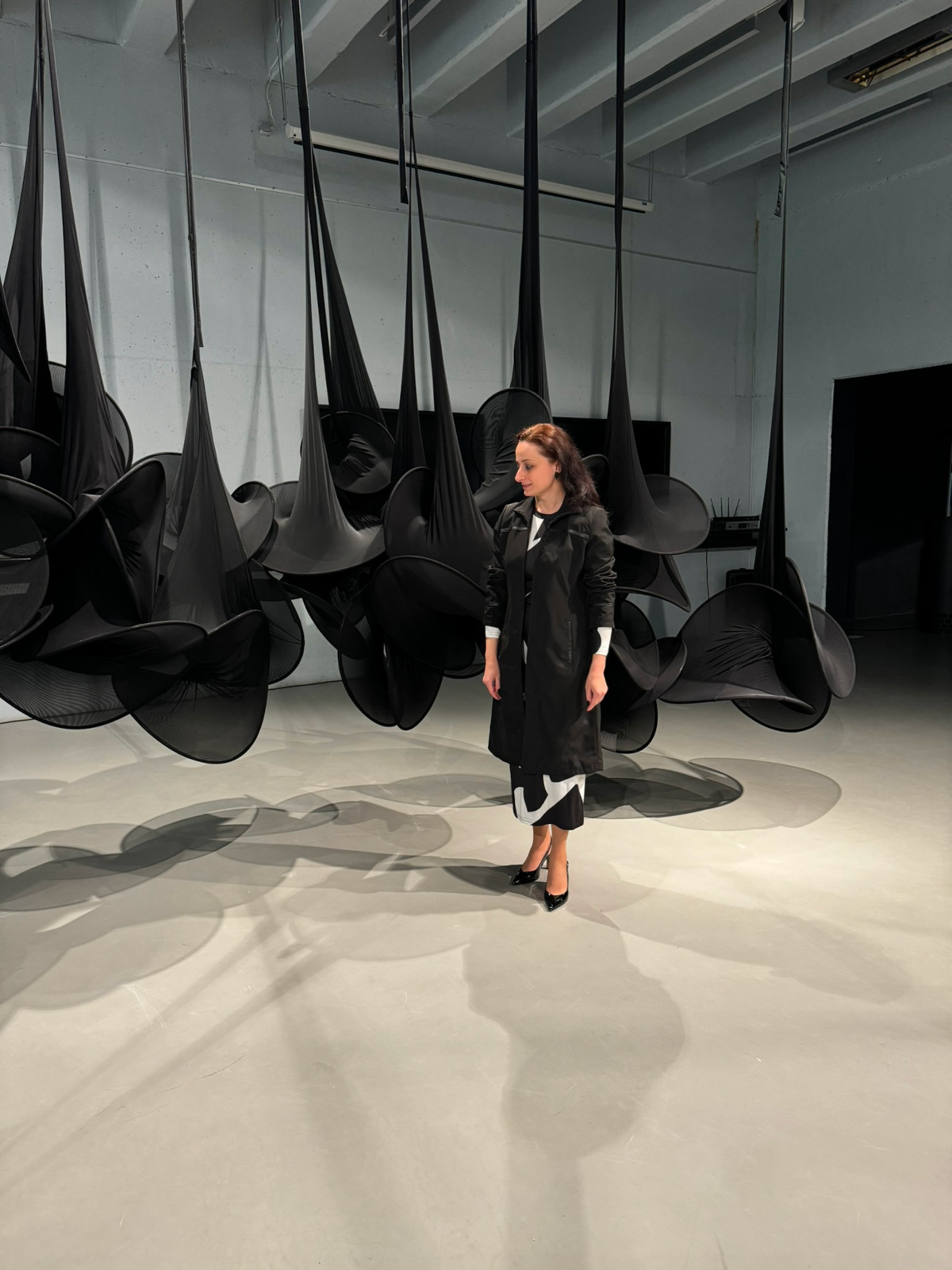 Diana Dochia - Centrul Constantin Brancusi, Craiova, 2024