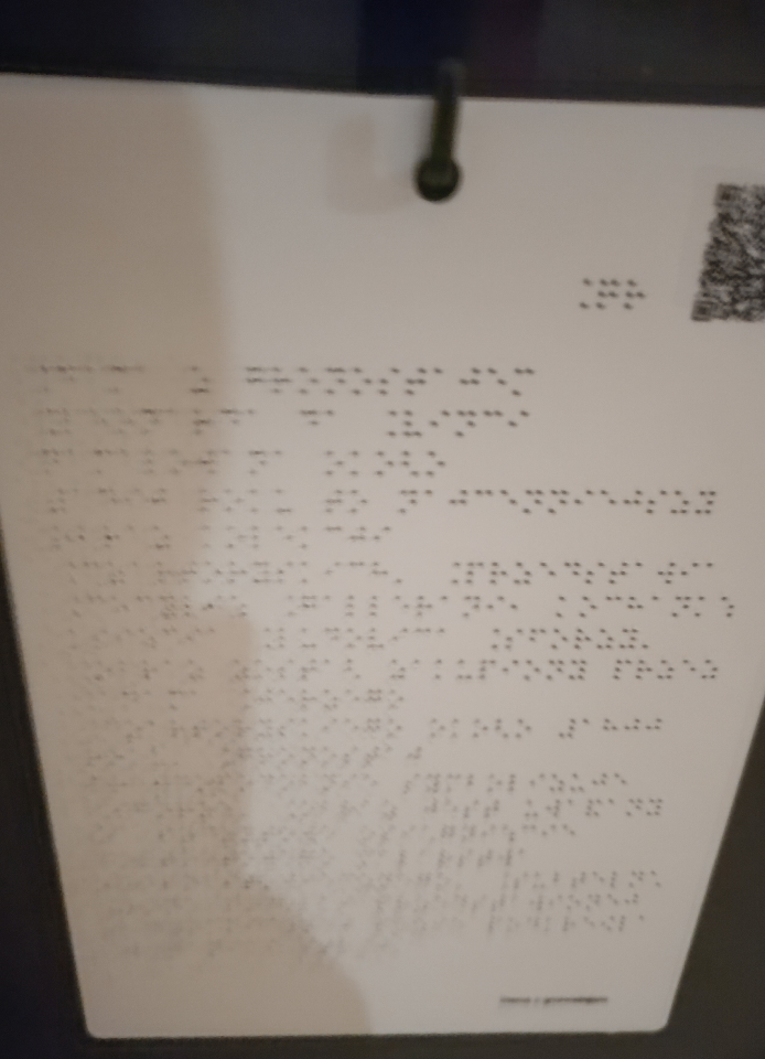 Doamna cu hermina pentru orbi