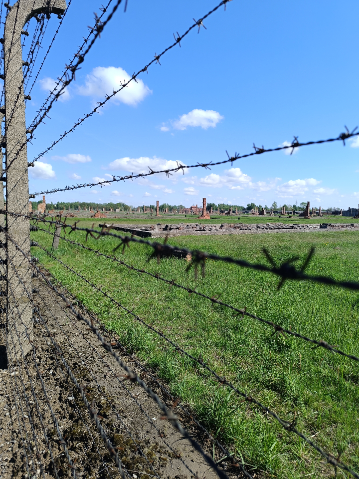 Birkenau