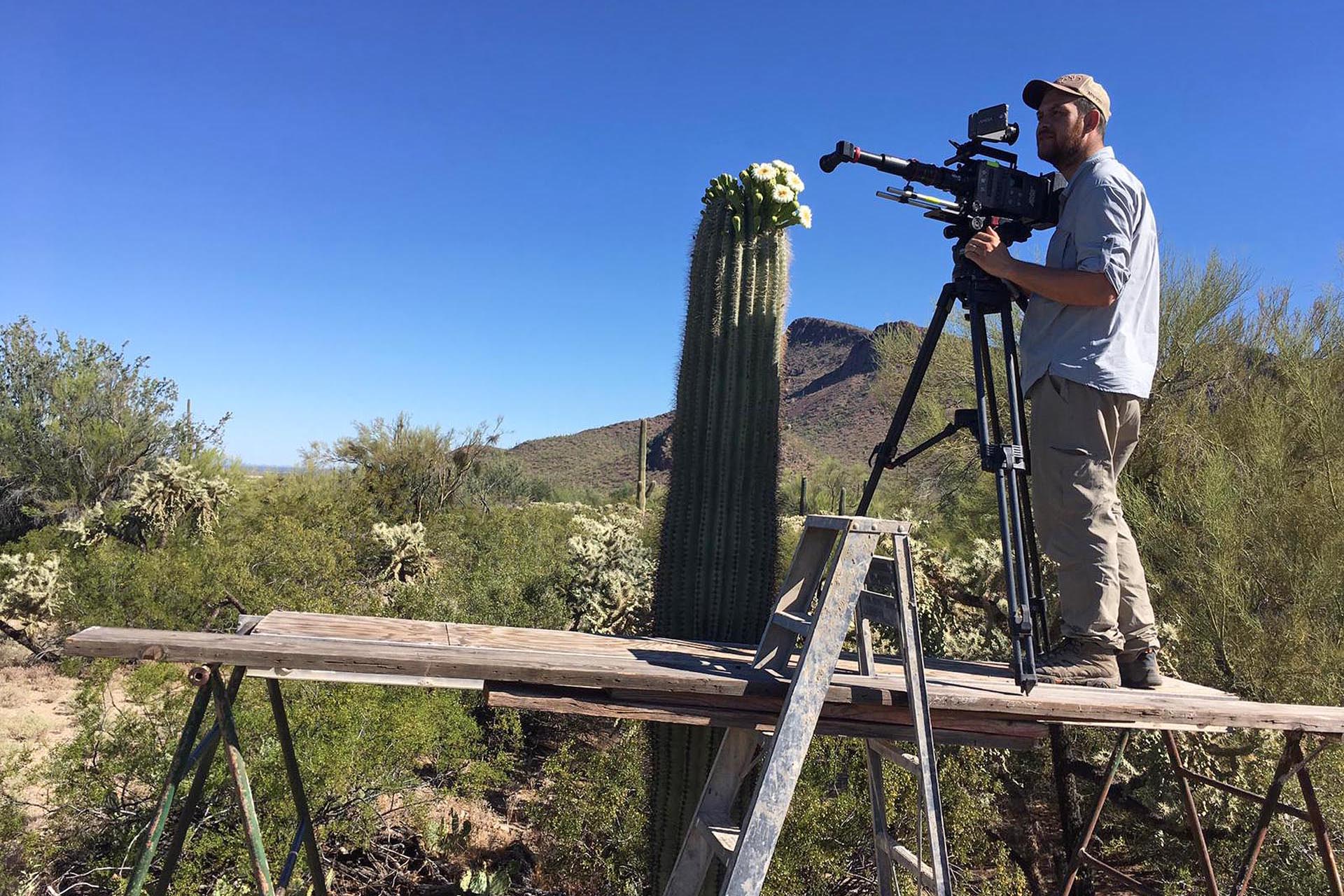 Making of Cactus Hotel