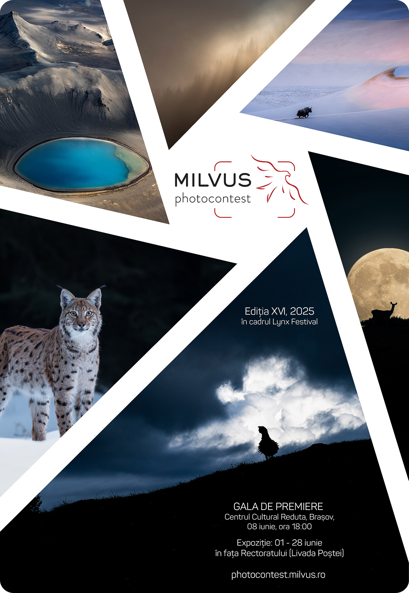 Milvus Potocontest 2025