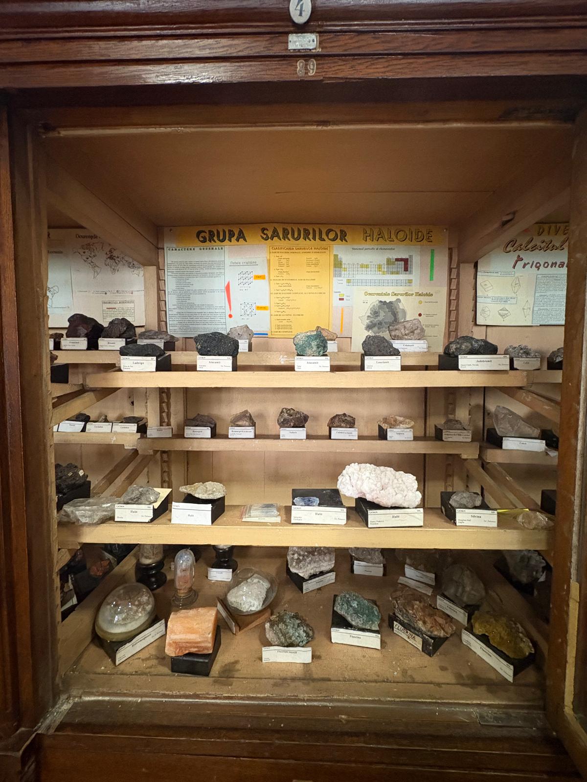 Colecția de mineralogie, Facultatea de Geologie, Universitatea București