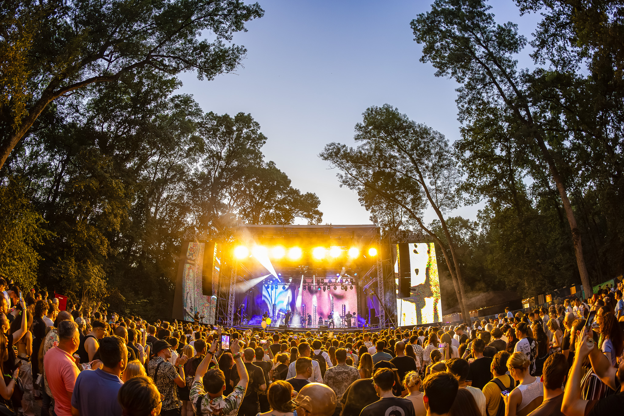 Codru Festival 2024