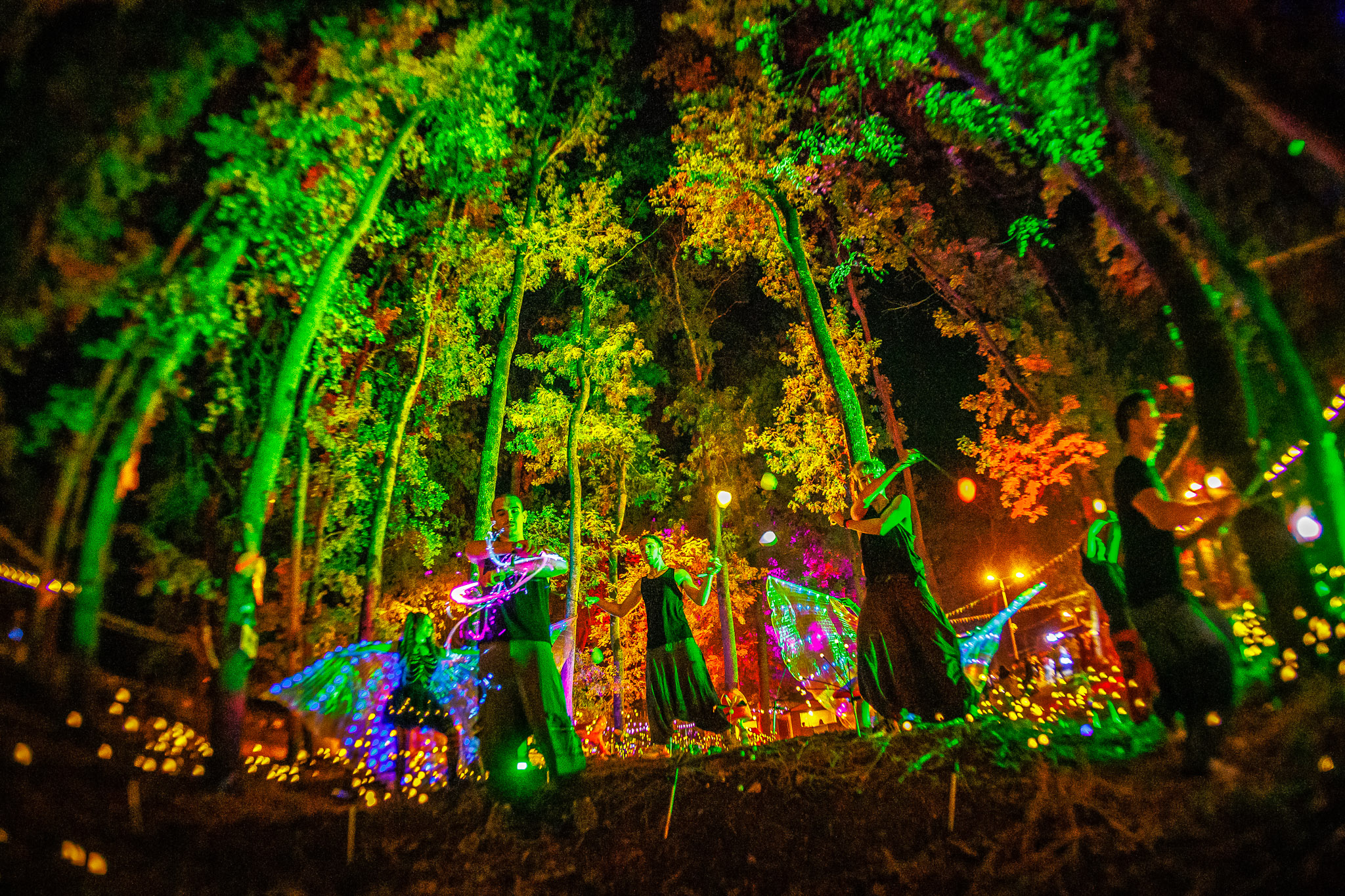 Codru Festival 2024