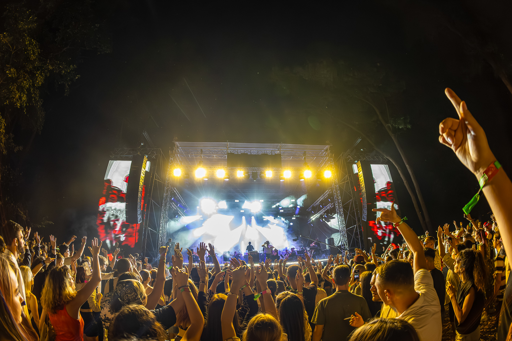 Codru Festival 2024