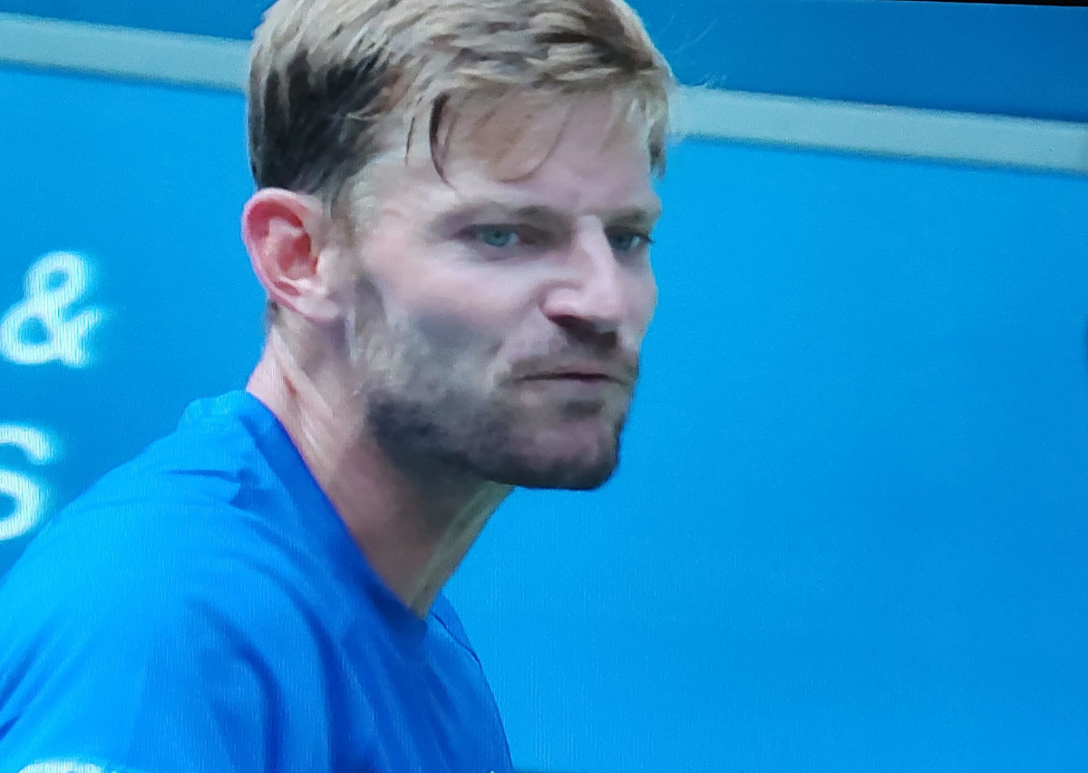 David Goffin